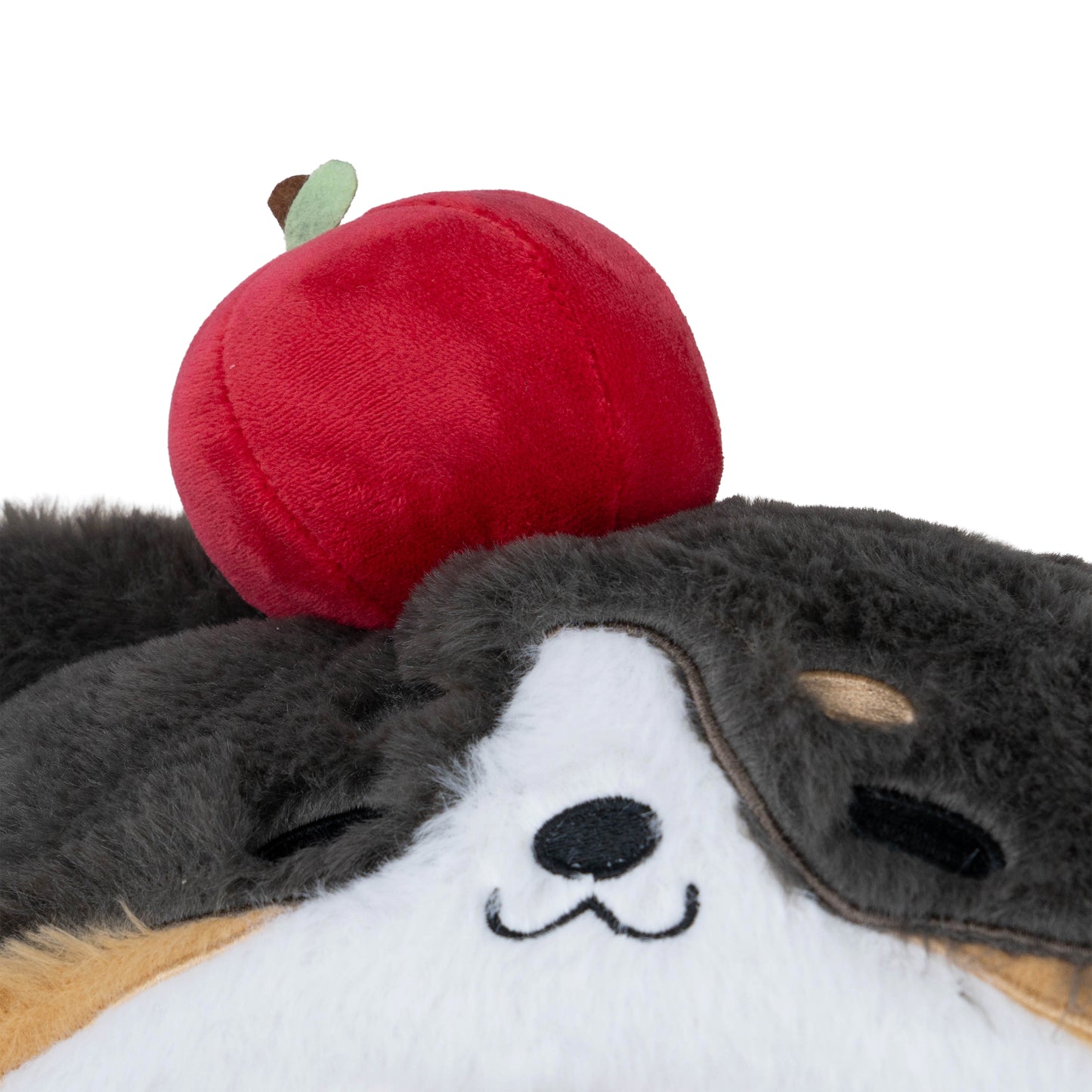 Almohada de cuervo gruñón Sylus