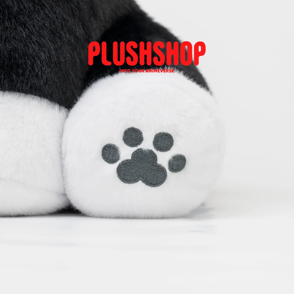 Kanekimeow (17IN) Kanekimeow(Pre order: Shipping at October 10 30) 玩偶