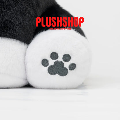 Kanekimeow (17IN) Kanekimeow(Pre order: Shipping at October 10 30) 玩偶